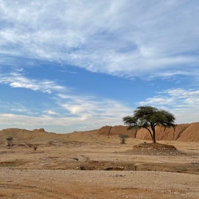 RSIL0's profile picture. 