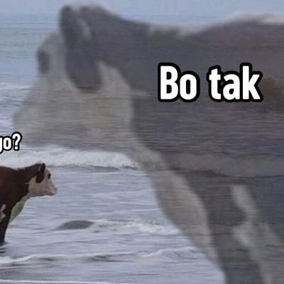 Сонях🇺🇦さんのプロフィール画像