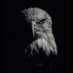 halvdan buradaydı (@bjkspqr) Twitter profile photo halvdan buradaydı (@bjkspqr) Twitter profile photo