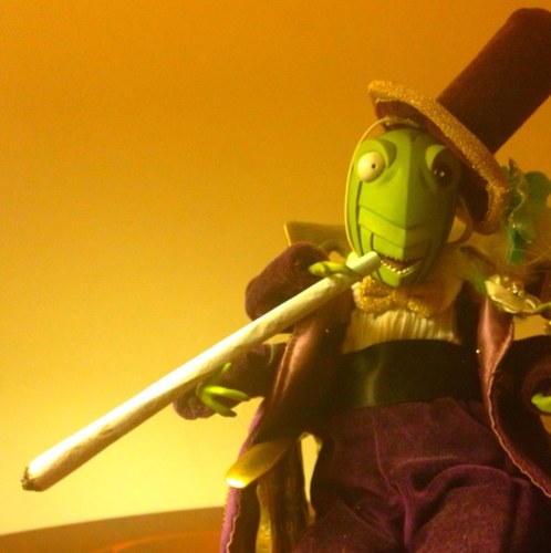 Kaiser_cricket's profile picture. 