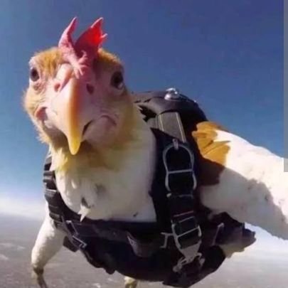 MariaEl48086490's profile picture. 