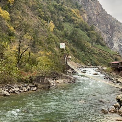 SAs631611673612's profile picture. עוד יבואו ימים טובים