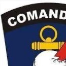 juniormaximus08's profile picture. CONTA RESERVA