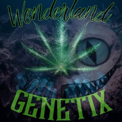 Elevate Your Grow, One Strain at a Time!!