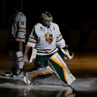 Clarkson Menās Hockey (@clarksonmhockey) 's Twitter Profile Photo Clarkson Menās Hockey (@clarksonmhockey) 's Twitter Profile Photo
