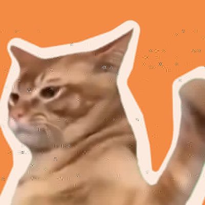 Welcome to official @CatSlap support page.Having any issue?Contact us via DM