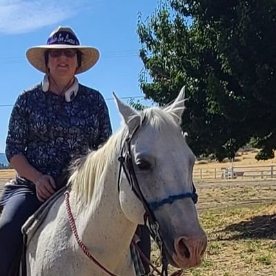 PollykPklos's profile picture. 