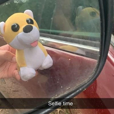 klacooki's profile picture. waffles 🧇