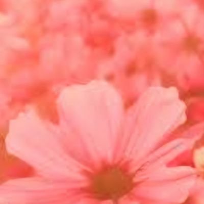 Carat 特に🍒求めます
鬼滅の刃👹最推し🐍推し🍃 基本:スリーブ・硬質ケース・水濡れ対策同日発送・基本ポスト投函動画添付(窓口対応(土)のみ)