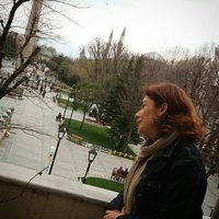 Elif Atalay (@elifatalay) 's Twitter Profile