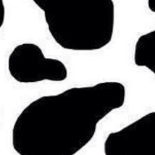 B_Free_Lynn's profile picture. Proud to have supported Trump from day 1.  #MAGA