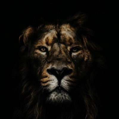 yamonisrael's profile picture. Precept Upon Precept 🤞🌍🤍