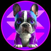 FRENCHIES AI ON SOL (@frenchies_onsol) 's Twitter Profile