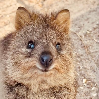 jaeseok_han's profile picture. From in #korea 프로 다이어터 🍔 헬시라이프 테슬라이프 ⚡️🔋🚘비트코이너 🪙Motivator | Designer