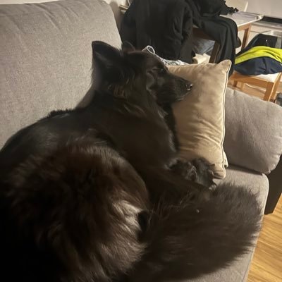 N70Rhino's profile picture. 