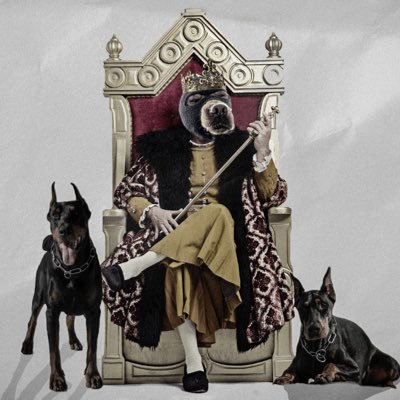 NFTlife96's profile picture. 