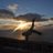 jsat66's profile image