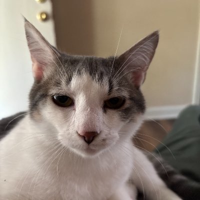 alex_stradinger's profile picture. TMIII, Herb Jones enthusiast