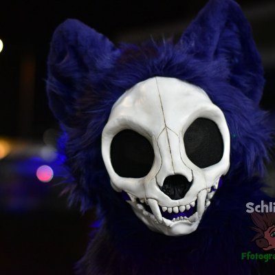 ein 💀さんのプロフィール画像