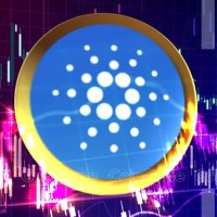 Handsymoto (@brum_crypto) 's Twitter Profile