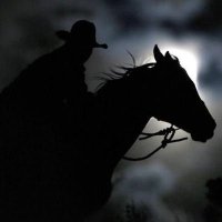 Redpill Drifter MAGA (@redpilldrift) 's Twitter Profile