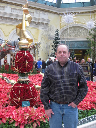 levifarmsltd's profile picture. 