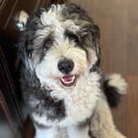 Cooper Green (@greener79nate) 's Twitter Profile