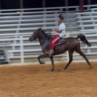 JG (@jaylonguilbeau1) 's Twitter Profile Photo JG (@jaylonguilbeau1) 's Twitter Profile Photo