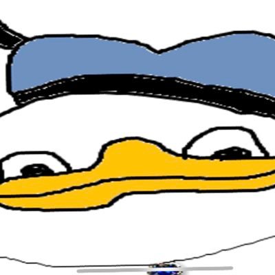 Shilling $DOLAN in Year 16/200 of the Digital Gold Rush