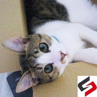 ScanNetSecurity (@scannetsecurity) Twitter profile photo