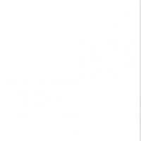 Nothing Coin (@nothingcoin_not) 's Twitter Profile