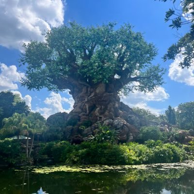 Kathy234's profile picture. 