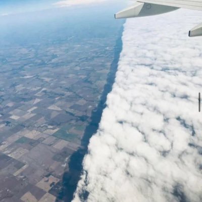 MerriBremer's profile picture. 