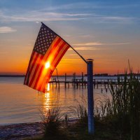Southern Patriot (@wademartin59) 's Twitter Profile Photo Southern Patriot (@wademartin59) 's Twitter Profile Photo