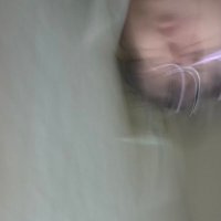 小寺 (@mkoderanushi) 's Twitter Profile