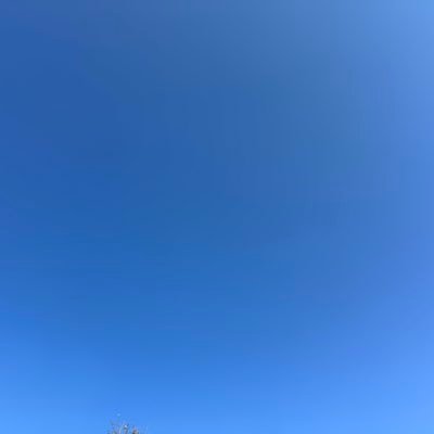 mark77584235's profile picture. 