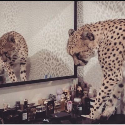 marialabiche's profile picture. clearpilled 💋 Shi’ite Moroccan Jew