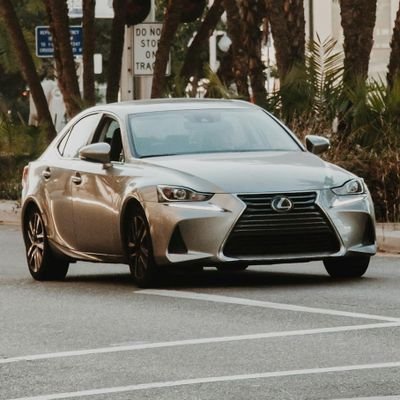 Prowolf77777's profile picture. 