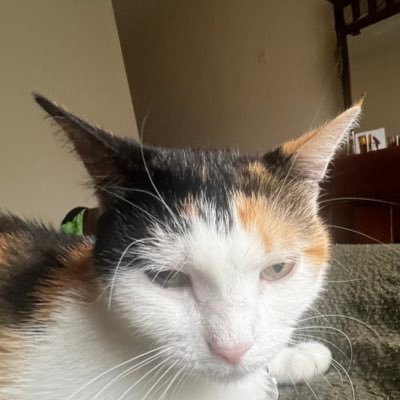 funkytown_3's profile picture. 