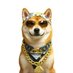 Bitcoin DOGE (@fs_bnb) Twitter profile photo Bitcoin DOGE (@fs_bnb) Twitter profile photo