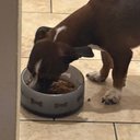 Evan Huffman - @EvanHuffma6886 - Twitter