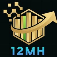 12MHUSTLE (@12mhustle) 's Twitter Profile