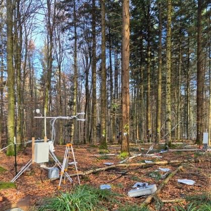 Postdoc researcher @University of Freiburg 🇩🇪 | Interested in climate change, forest ecosystems, urban, and public health