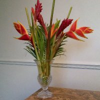 Judie (@judielc) 's Twitter Profile Photo