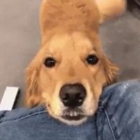 Jamjeff (@jjamjeff) 's Twitter Profile