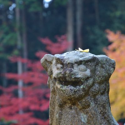 200eclipse002's profile picture. プラモ歴1年生な週末ローディー。筆塗りで綺麗に仕上がらず悶絶する日々。素晴らしい作品を作る方にいいねや無言フォロー飛ばしているがこれが失礼に当たらないか心配になる匿名掲示板育ち