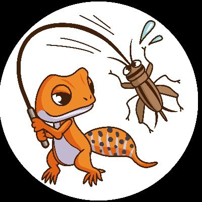 沖縄で爬虫類の生き餌である【ヨーロッパイエコオロギ】の県内配送を承ります。 おきなわコオロギ直売所です。
