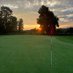 Golf Express (@golfexpress11) Twitter profile photo Golf Express (@golfexpress11) Twitter profile photo