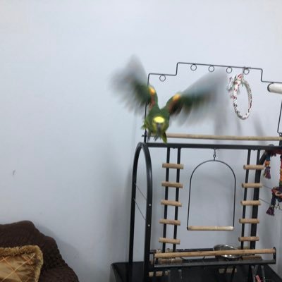 almdny_tar12818's profile picture. ابوجميل