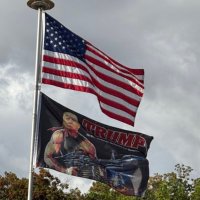 Big AL (@big_al_4usa) 's Twitter Profile